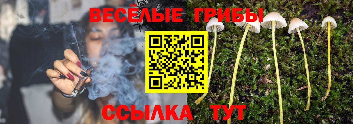 Псилоцибиновые грибы Cubensis  Вход с VPN  Орёл 